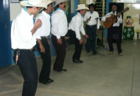 Catira.Tribal/Rural. 2. Teil des Kongresses Euro-Brasilianischer Studien in Joanópolis 2002